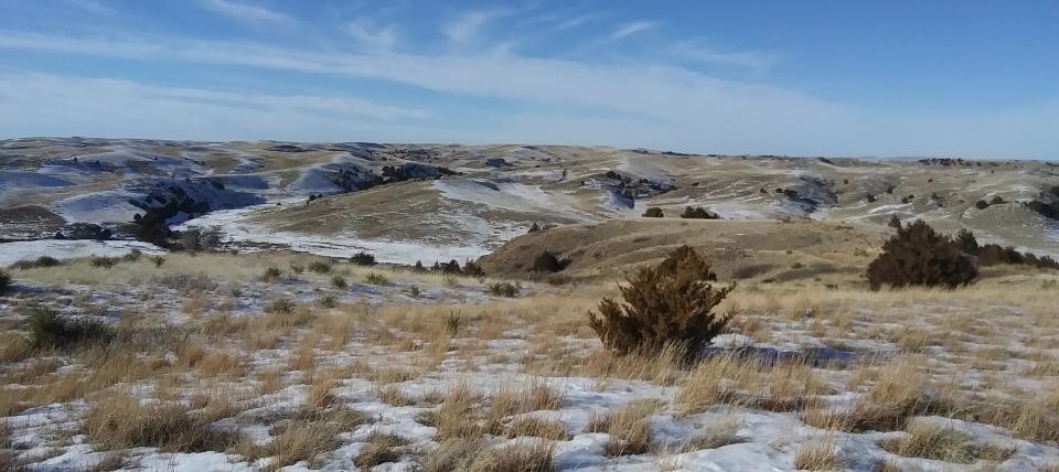 View of treeless prairie on sunny winter day